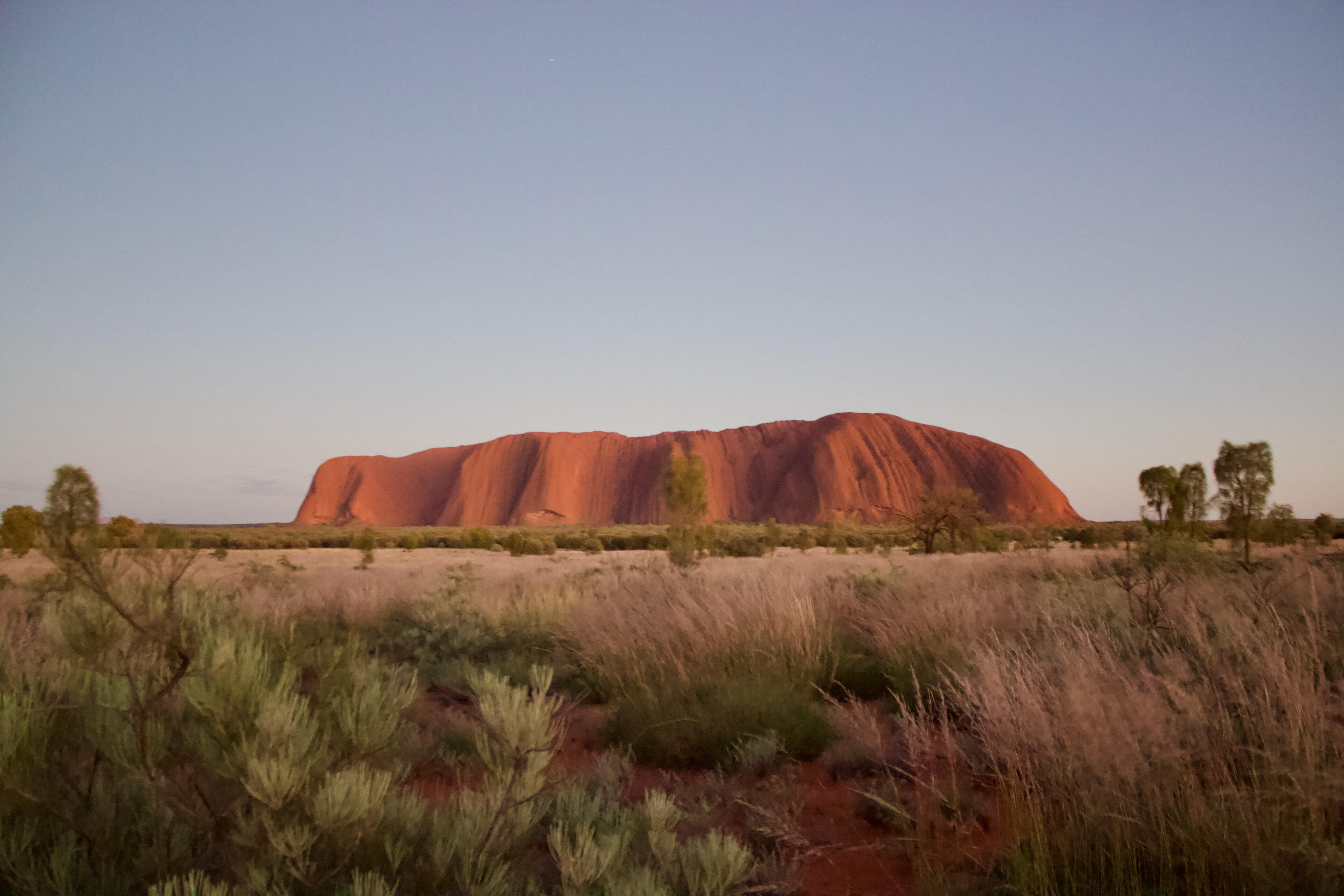 Uluru Dawn