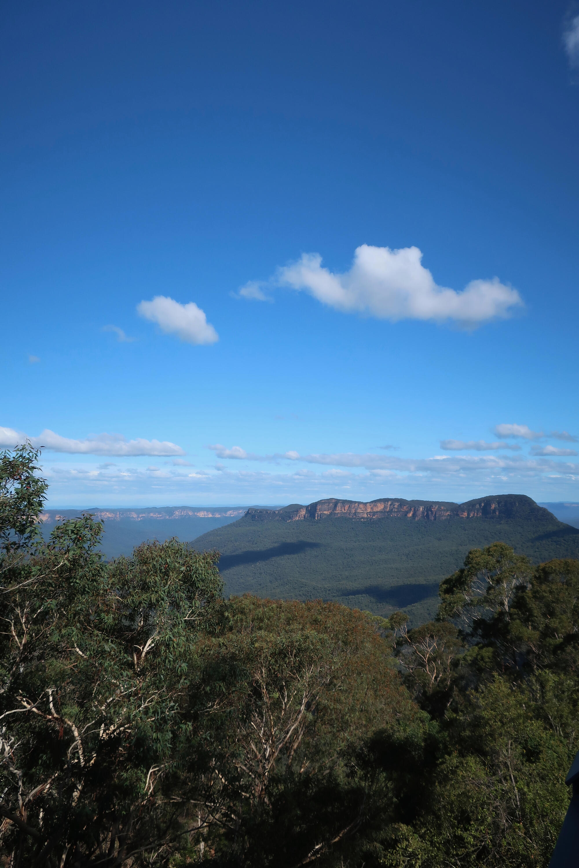 Blue Mountains
