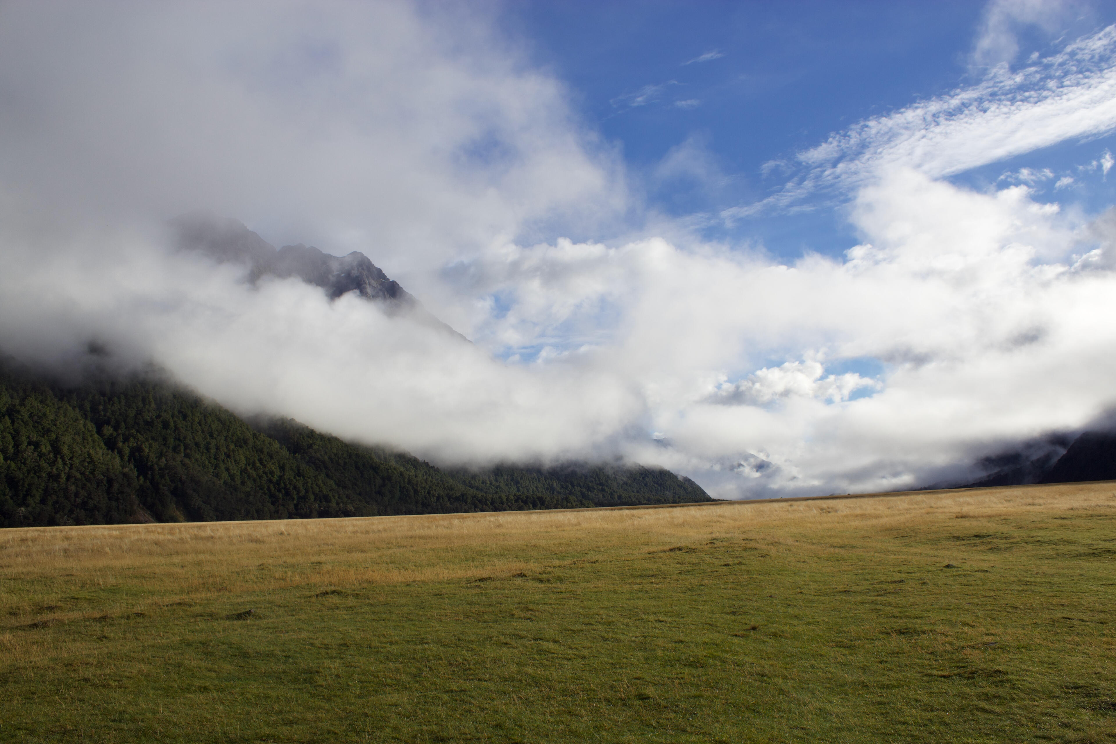 Cloudy with a chance of sunshine