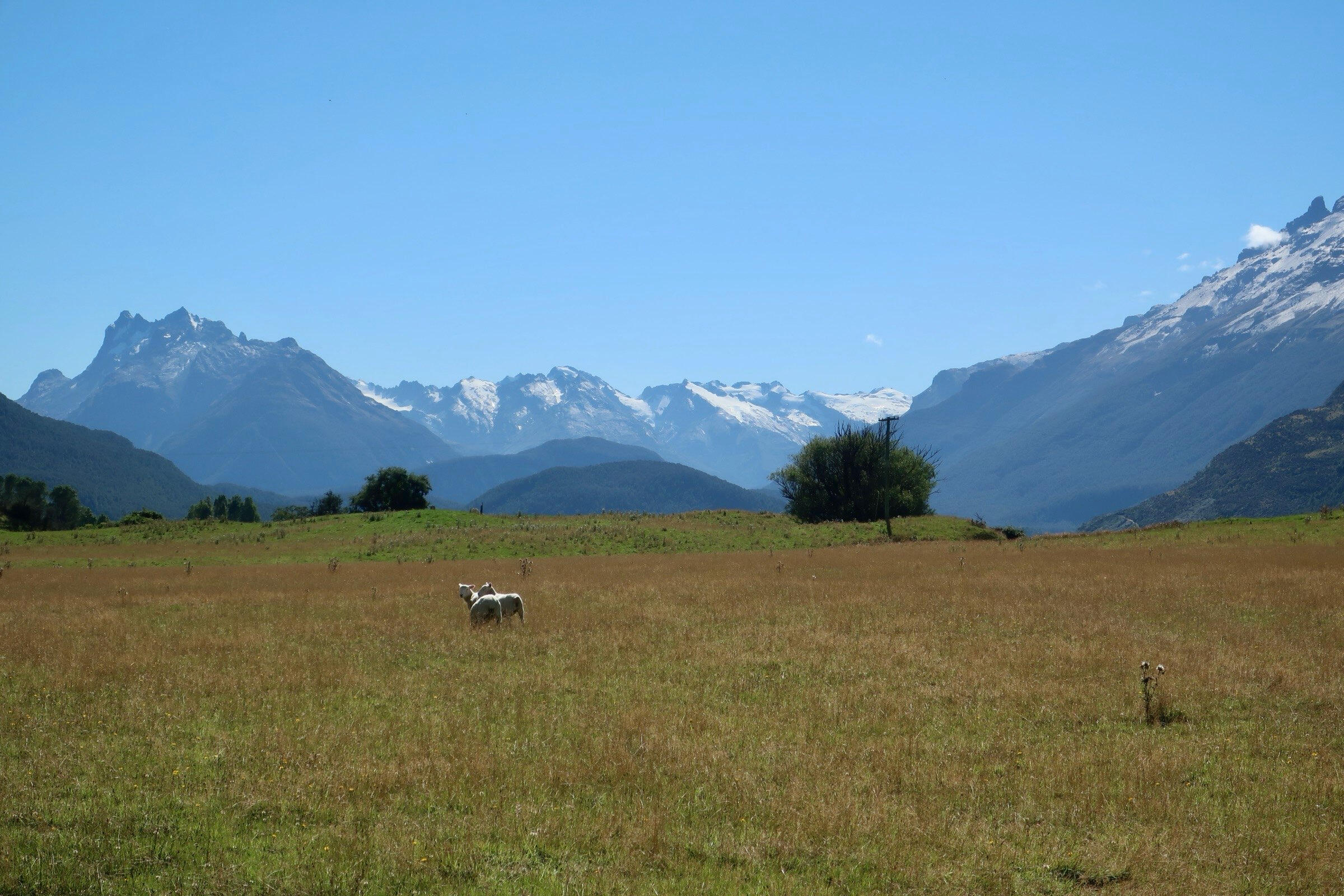 The mountains of Glenorchy