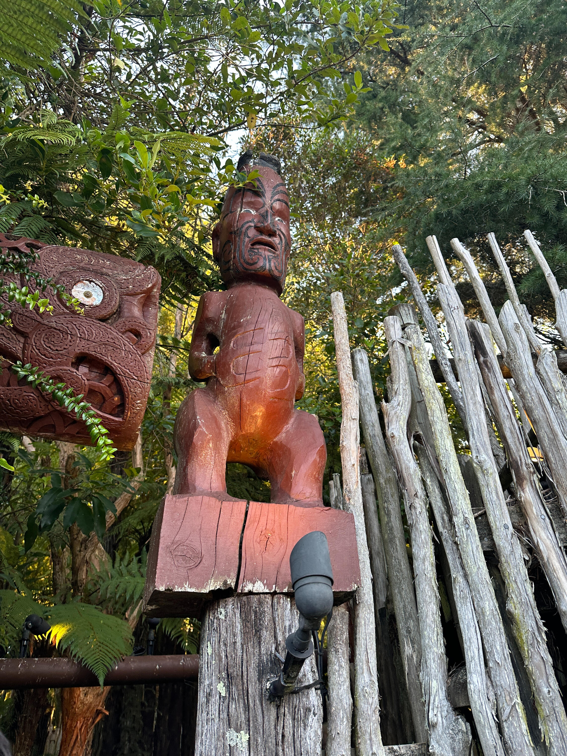 Te Pa Tu - A Maori village experience