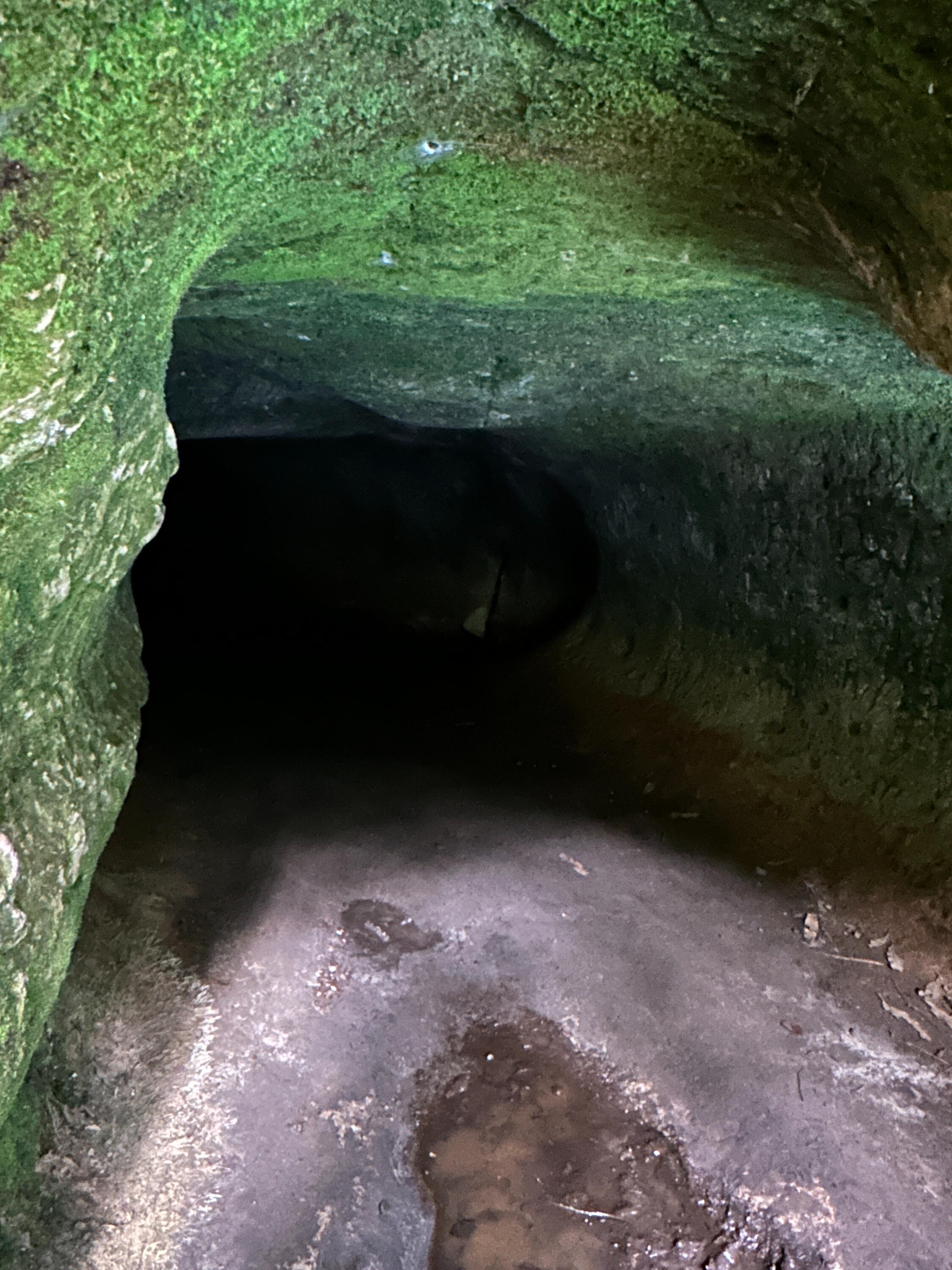 The cave by the river