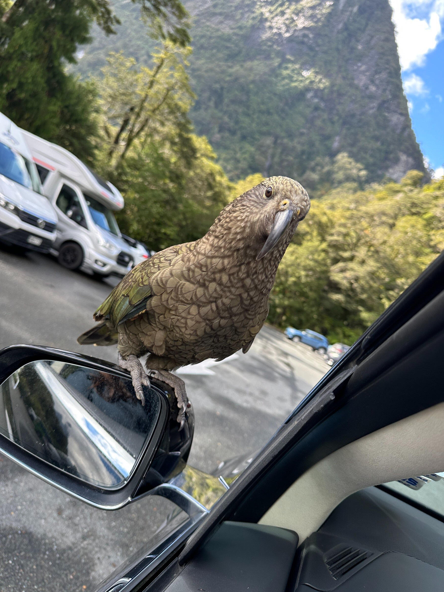 Well Hello!!