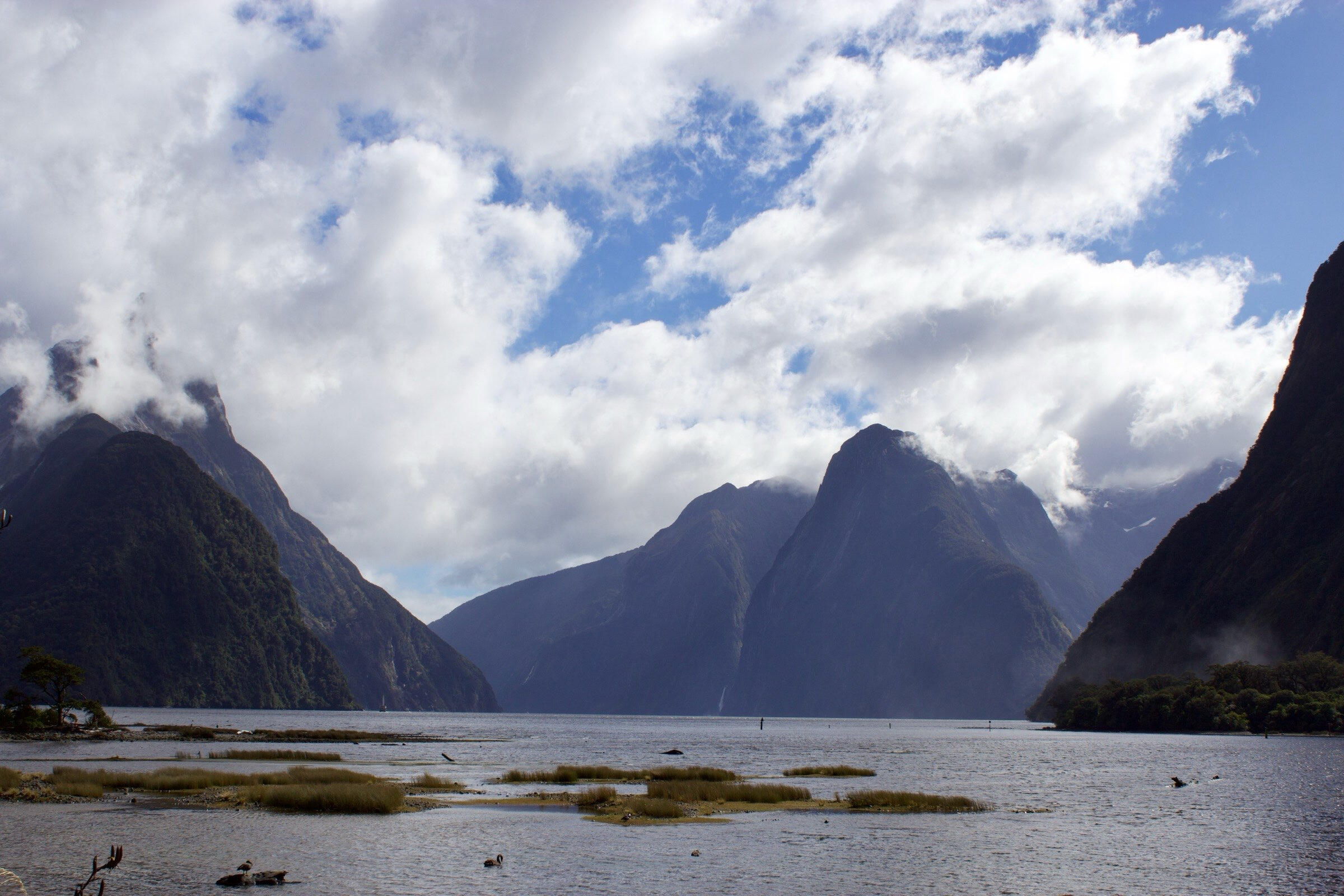 Milford Sound finally!