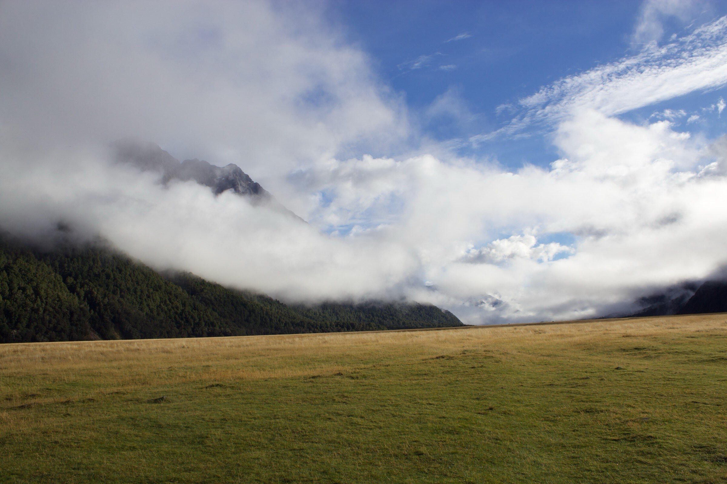 Cloudy with a chance of sunshine